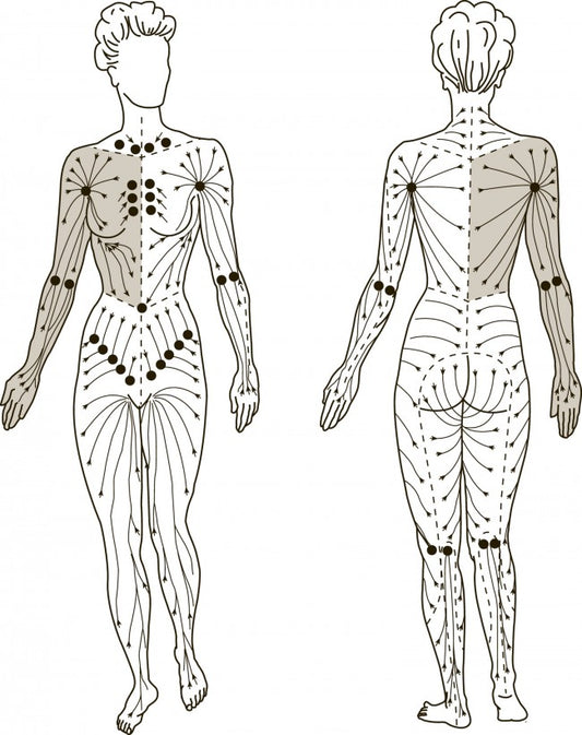 Lymph Cream secondary image