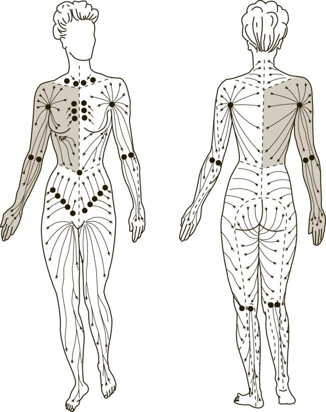Lymph Cream